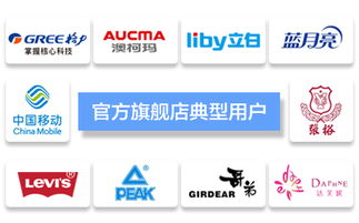 臺州飛速網(wǎng)絡 一站式網(wǎng)站建設、淘寶代運營與優(yōu)化服務專家